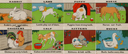 Original Set of Dairy Council Nutrition Prints Animals