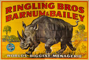 Ringling Bros Barnum & Bailey Original 9 Sheet Circus Poster Rhinoceros