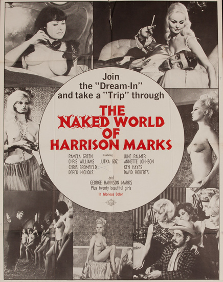 DP Vintage Posters - Go Naked in the World Original 
