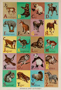 Original Educational Poster Alphabet