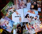 Original 11 x 14 Movie Lobby Card Set Move