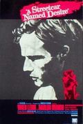 A Streetcar Named Desire Original Vintage Movie Video Release Poster