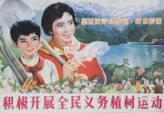 AAA Go Plant Trees! Green Mountains and Healthy Water Forever, Original Chinese Cultural Revolution Poster
