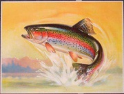 Original Vintage Flyfishing Print Poster Jumping Out of Water