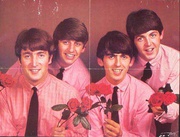 YOUNG [[Beatles]] Fab Four Poster roses