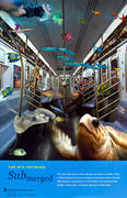 Original Arts for Transit Poster Submerged