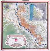 Original French Travel Poster Bordeaux Map
