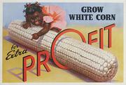 Grow White Corn for Extra Profit Original American Advertising Poster