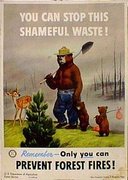 Smokey, You Can Stop this Shameful Waste! Original Vintage Fire Prevention Poster