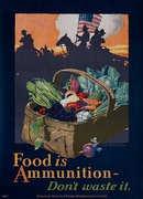 Food Is Ammunition, Don't Waste It Original Vintage World War I Poster