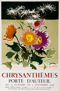 Chrysanthememes Chrysanthemum  Original French Flower Show Poster
