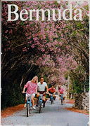 Bermuda Travel Poster Adults on Scootes