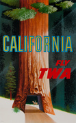 Fly TWA Original Travel Poster California Redwood