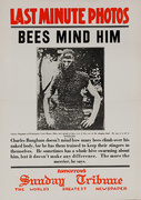 The Chicago Sunday Tribune Original Daily Newspaper Advertising Poster Bee Minder Him