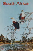 Original South Africa Travel Poster birds