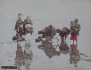 Meiji Era Hand Colored Japanese Albumen Photograph B1173 Shell Picking