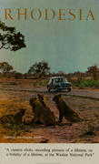 Rhodesia Original African Travel Poster, Wankie National Park