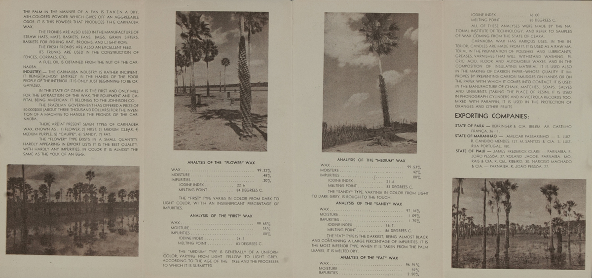 1939 World's Fair Carnaúba Wax Expo Brochure