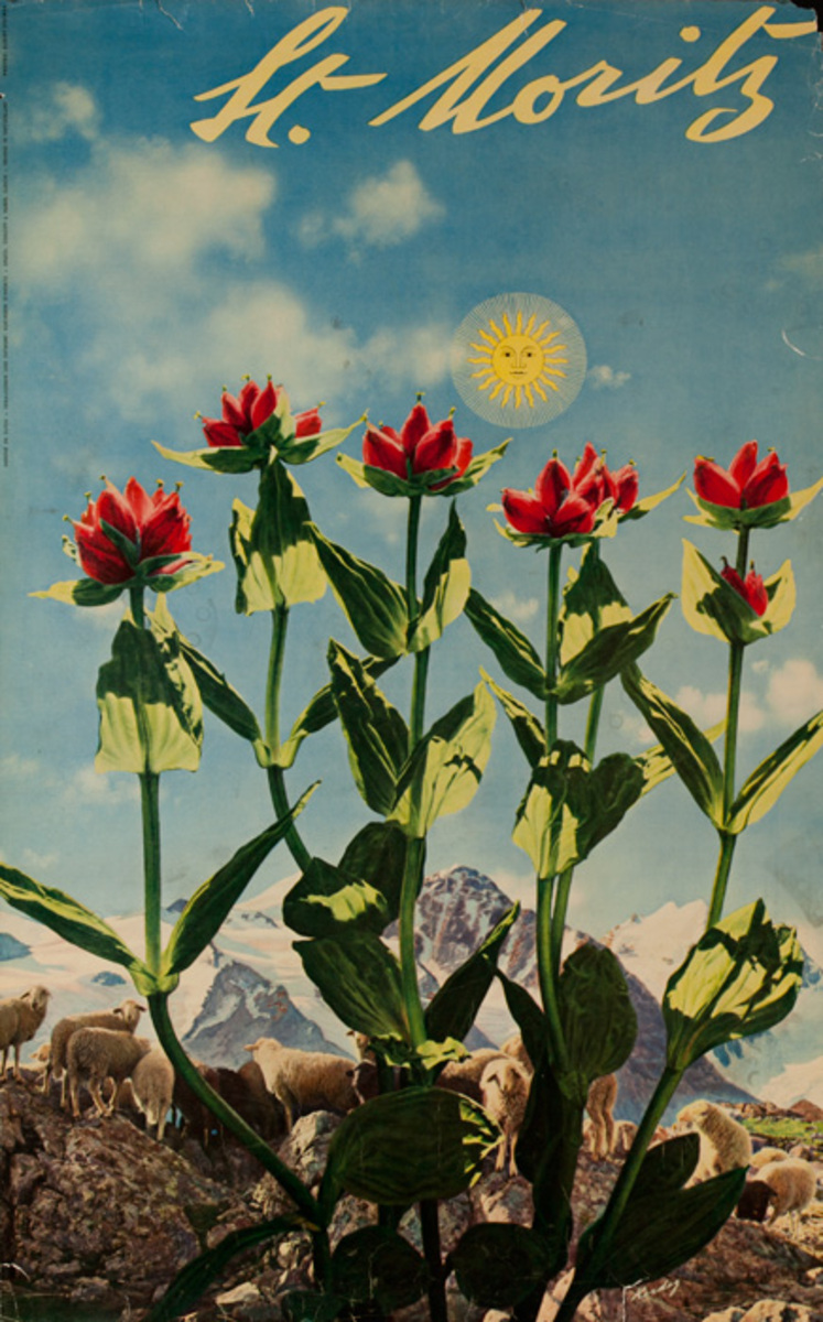 St. Moritz Travel Poster Flower Photo