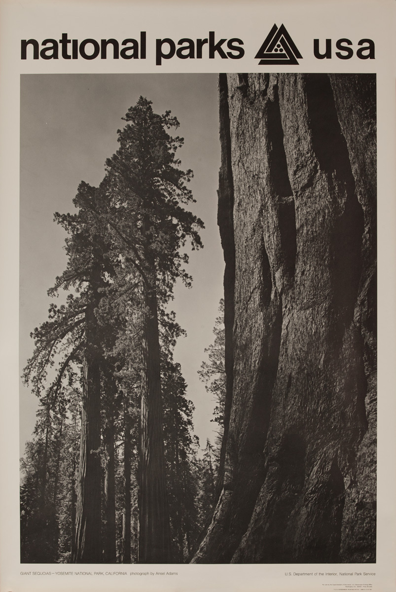 National Parks USA Poster: Giant Sequoias, Yosemite National Park, California
