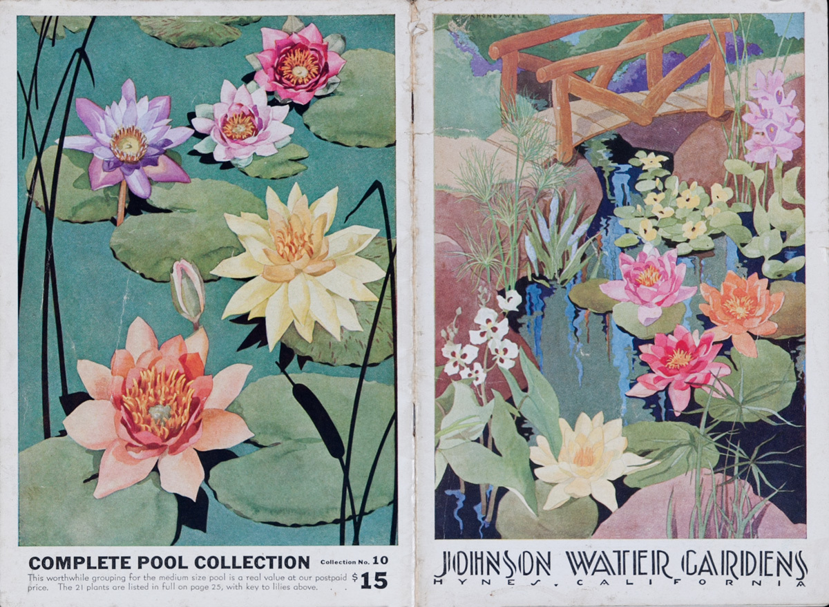 Johnson Water Gardens Original 1920s Plant Catalog
