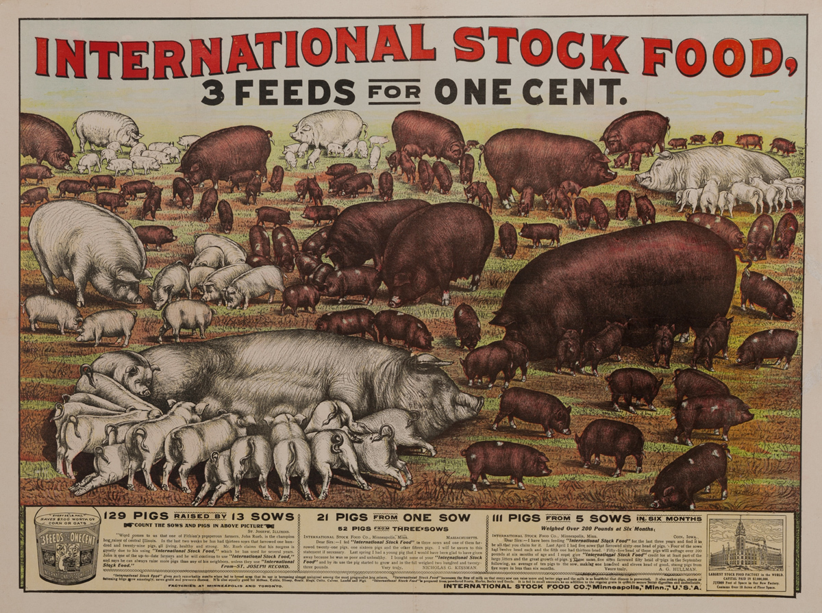 Original International Stock Food Company Poster, 3 Feeds for One Cent