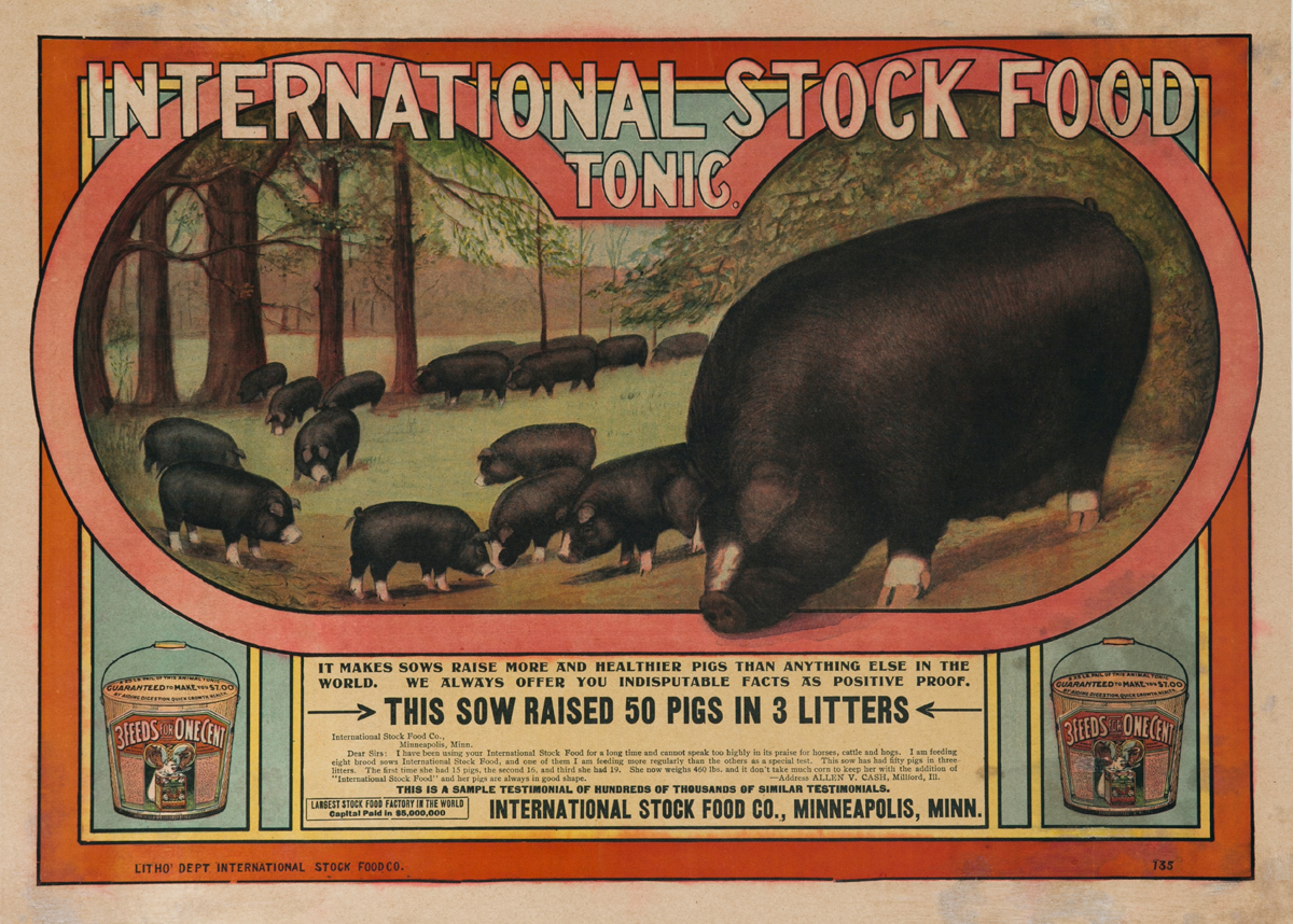 Original International Stock Food Tonic Poster, This Sow Raised 50 Pigs in 3 Litters