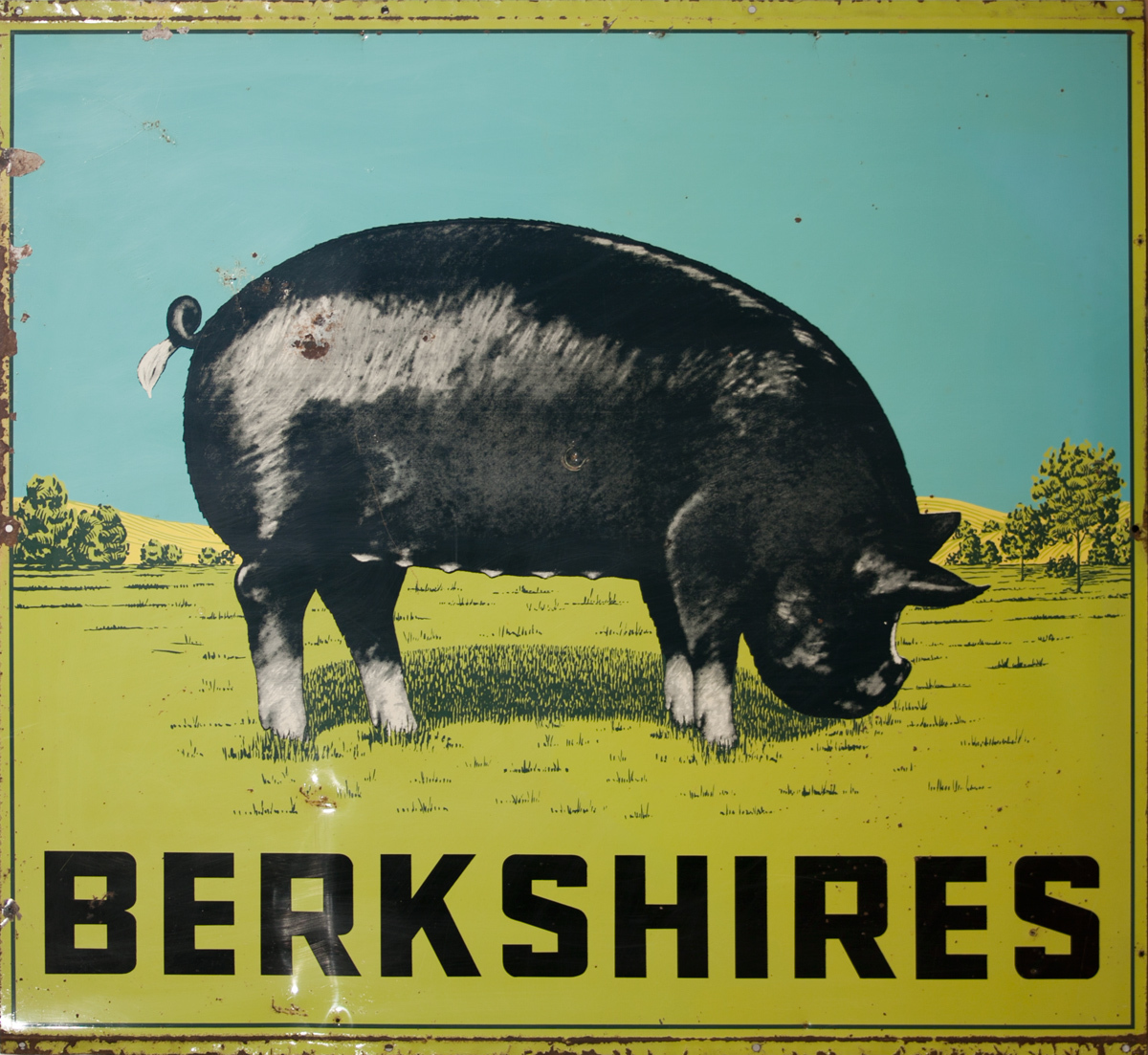 Original 2 Sided American Farm Sign, Berkshire Pig
