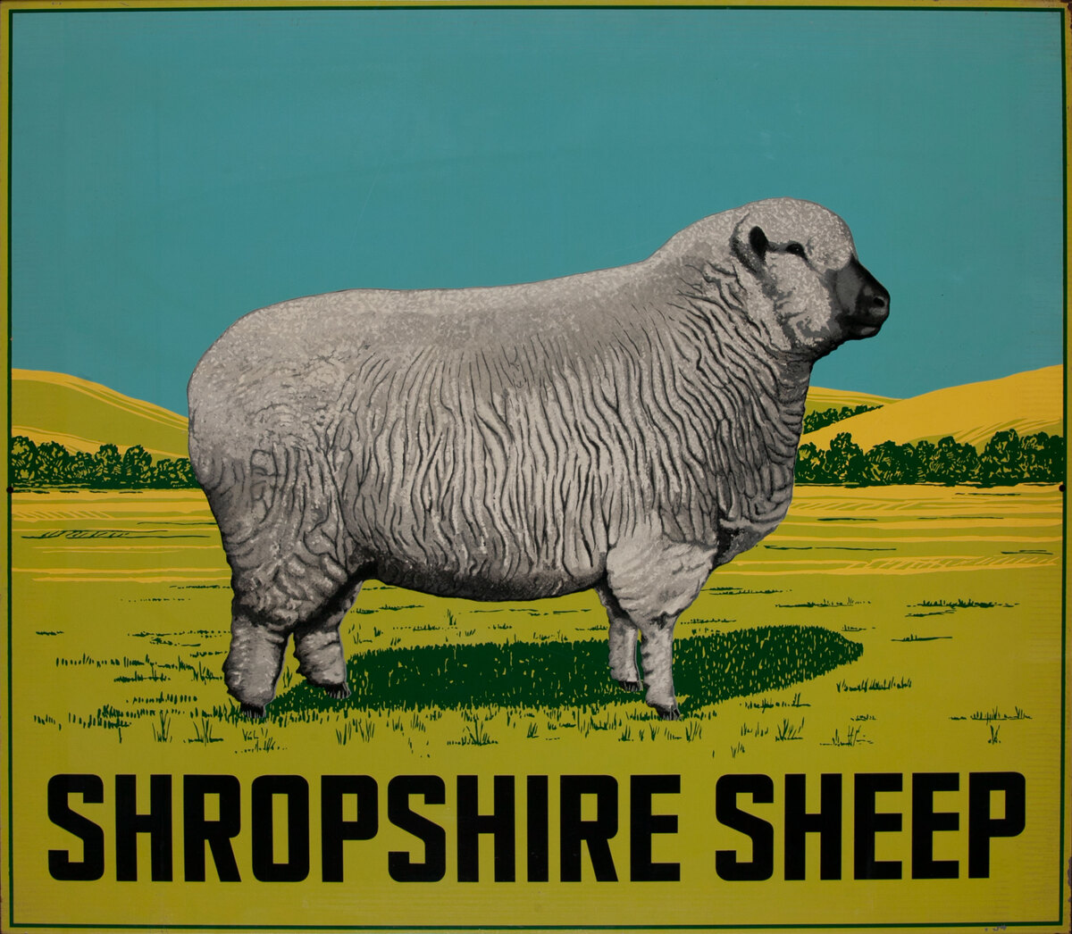 Shropshire Sheep, Original American 2-Sided Metal Farm Sign