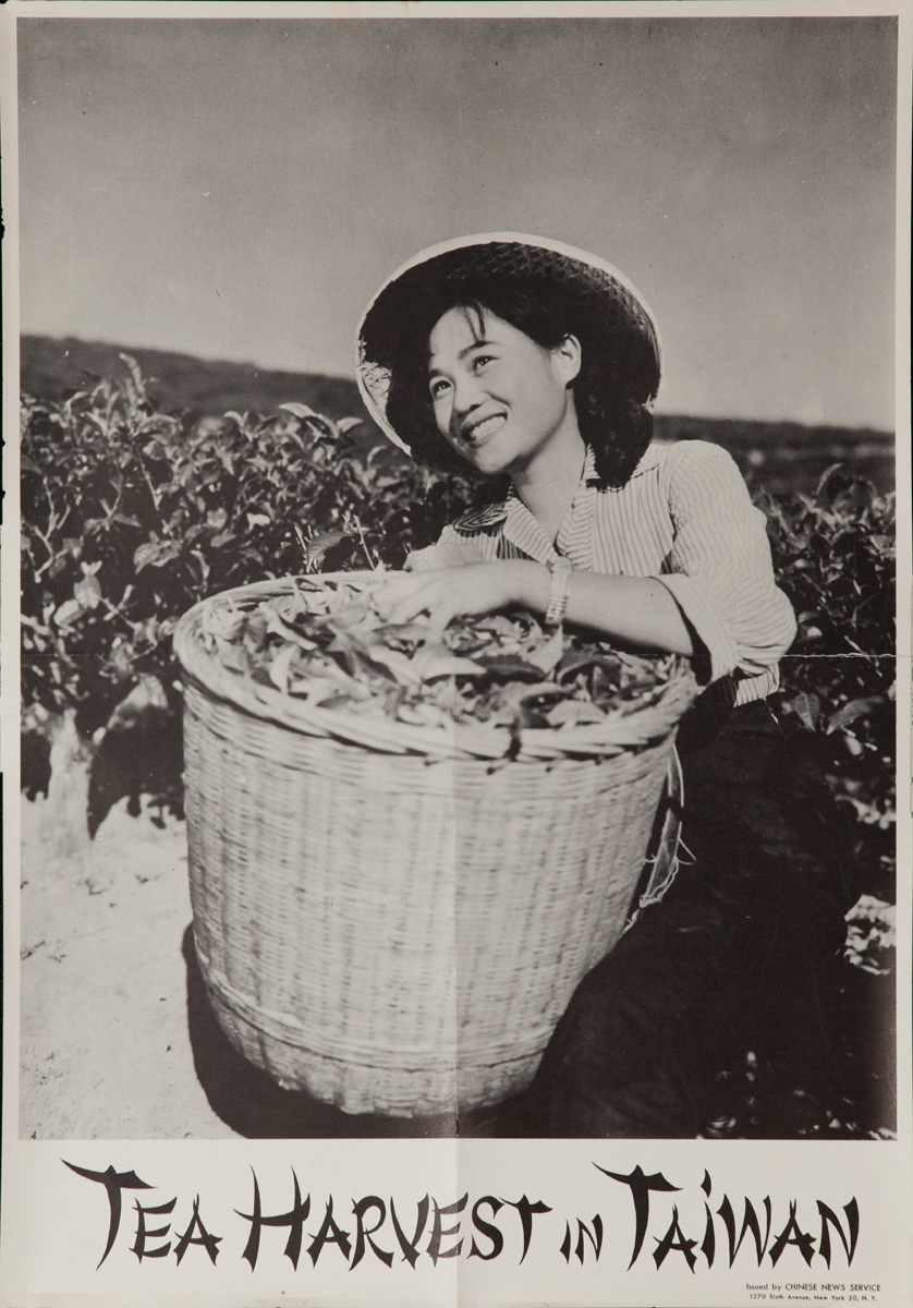 Tea Harvest in Taiwan, Original Travel Poster