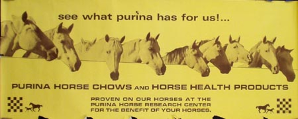 Purina Horse Feed Original Advertising Poster