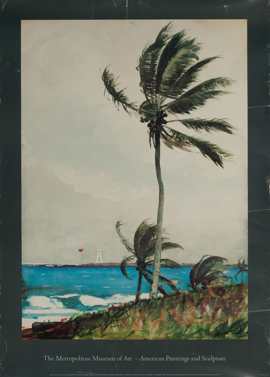 The Metropolitan Museum of Art American Paintings And Sculpture, Palm Tree Nassau 