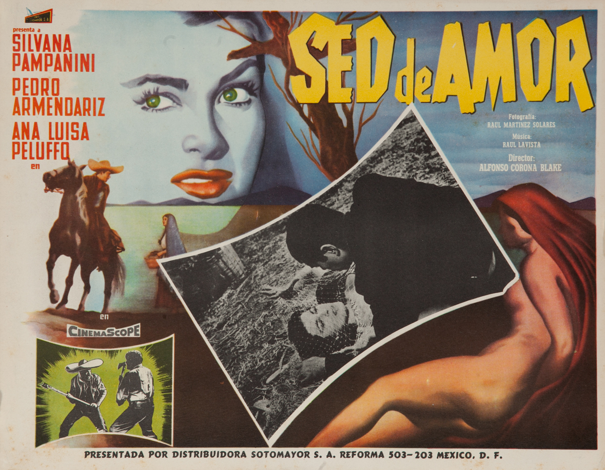 Sed De Amor, Thirst for Love, Original Mexican Movie Lobby Card