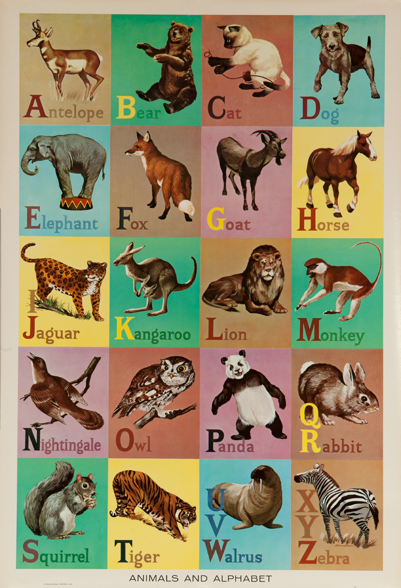 Original Educational Poster Alphabet