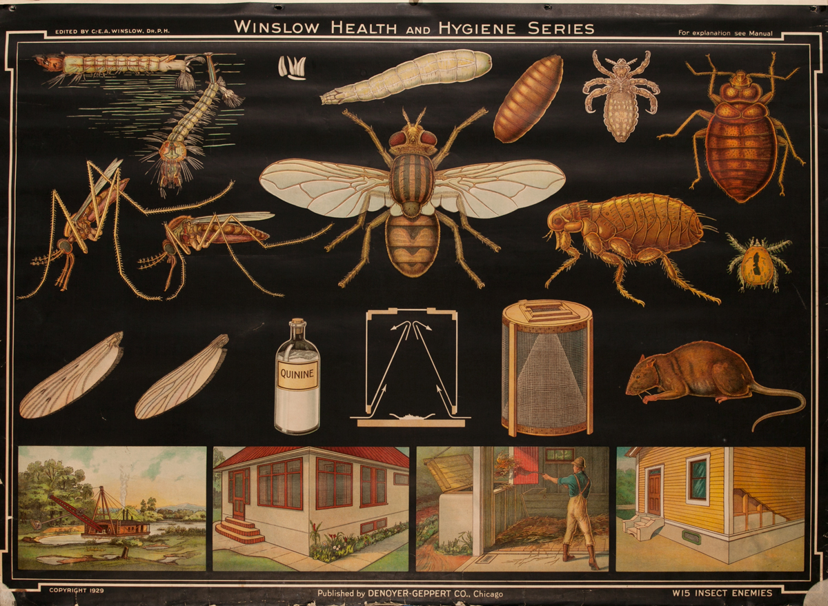 Winslow Health and Hygiene Series Poster, W15 Insect Enemies