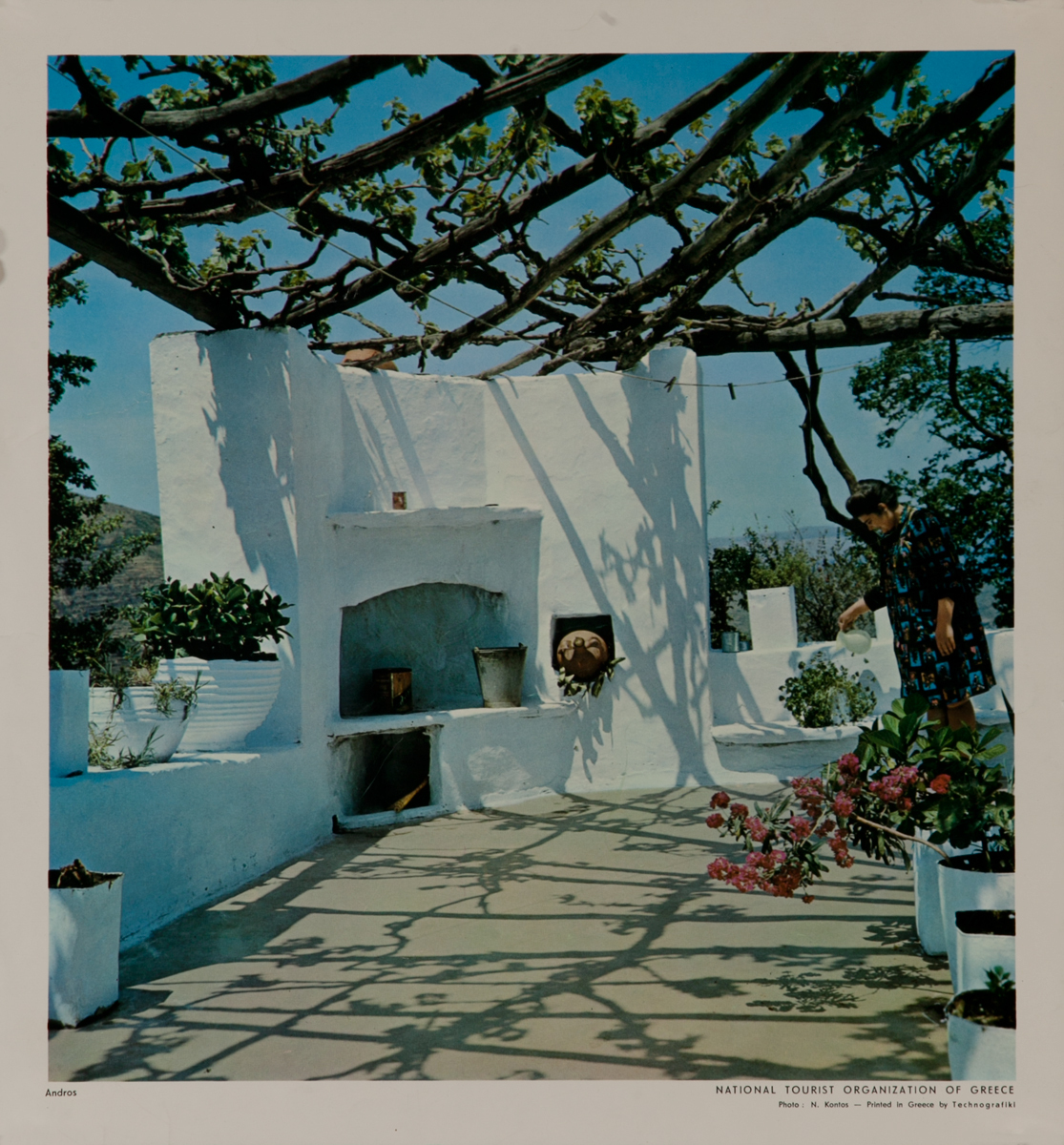 Andros Greece, Terrace photo