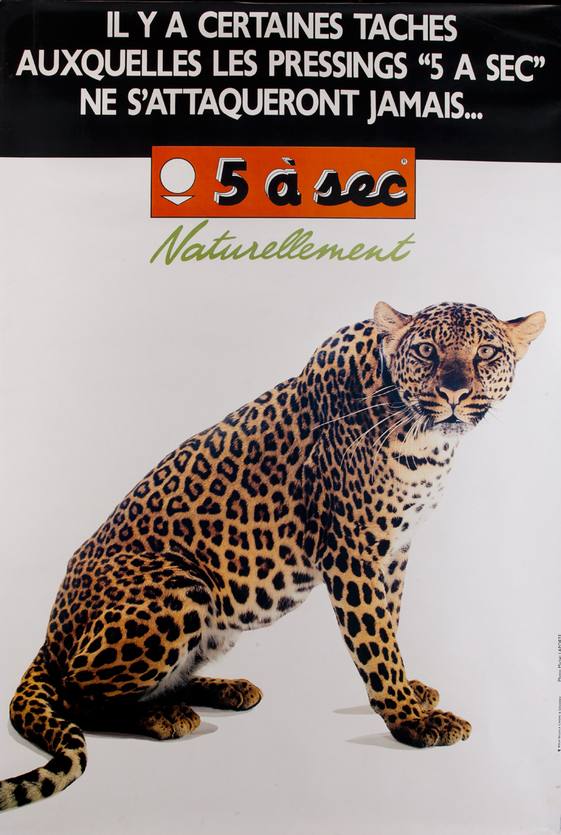 5 a sec Naturellement Leopard