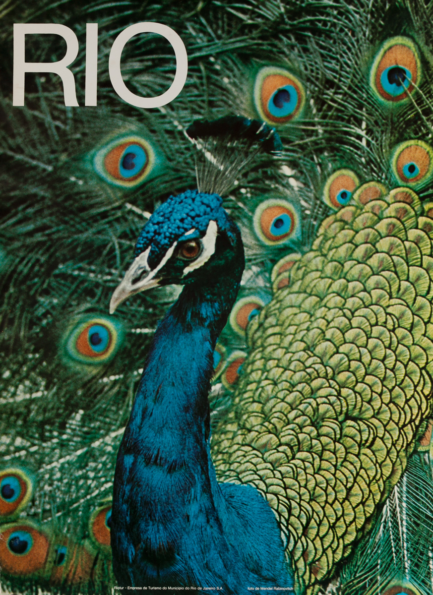 Peacock<br>Rio Brazil Travel Poster