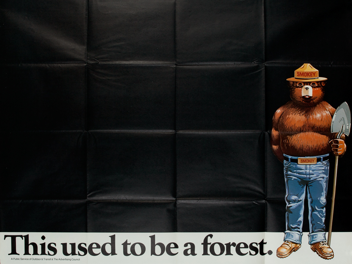 This used to be a forest. Smokey Bear Fight Prevention Poster