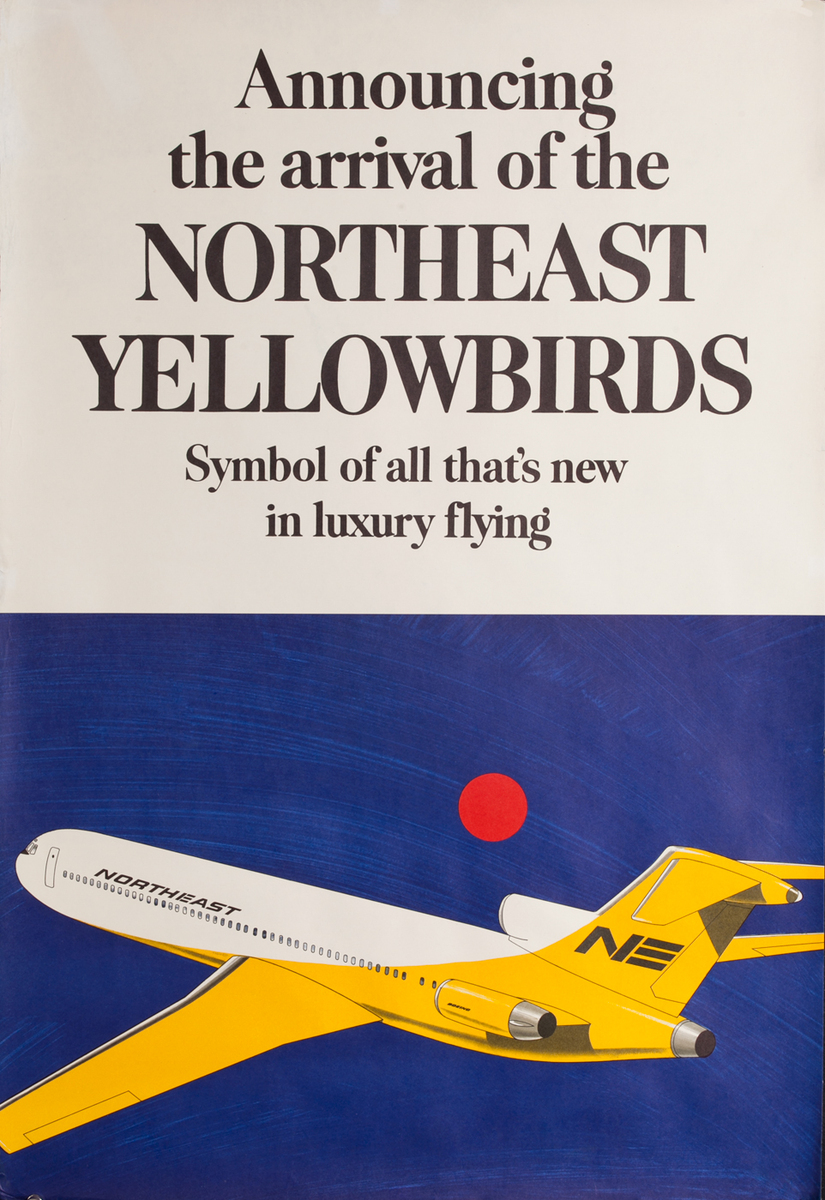 航空機・ヘリコプター NORTHEAST yellowbirds 航空機・ヘリコプター NORTHEAST yellowbirds Airline PAST#21