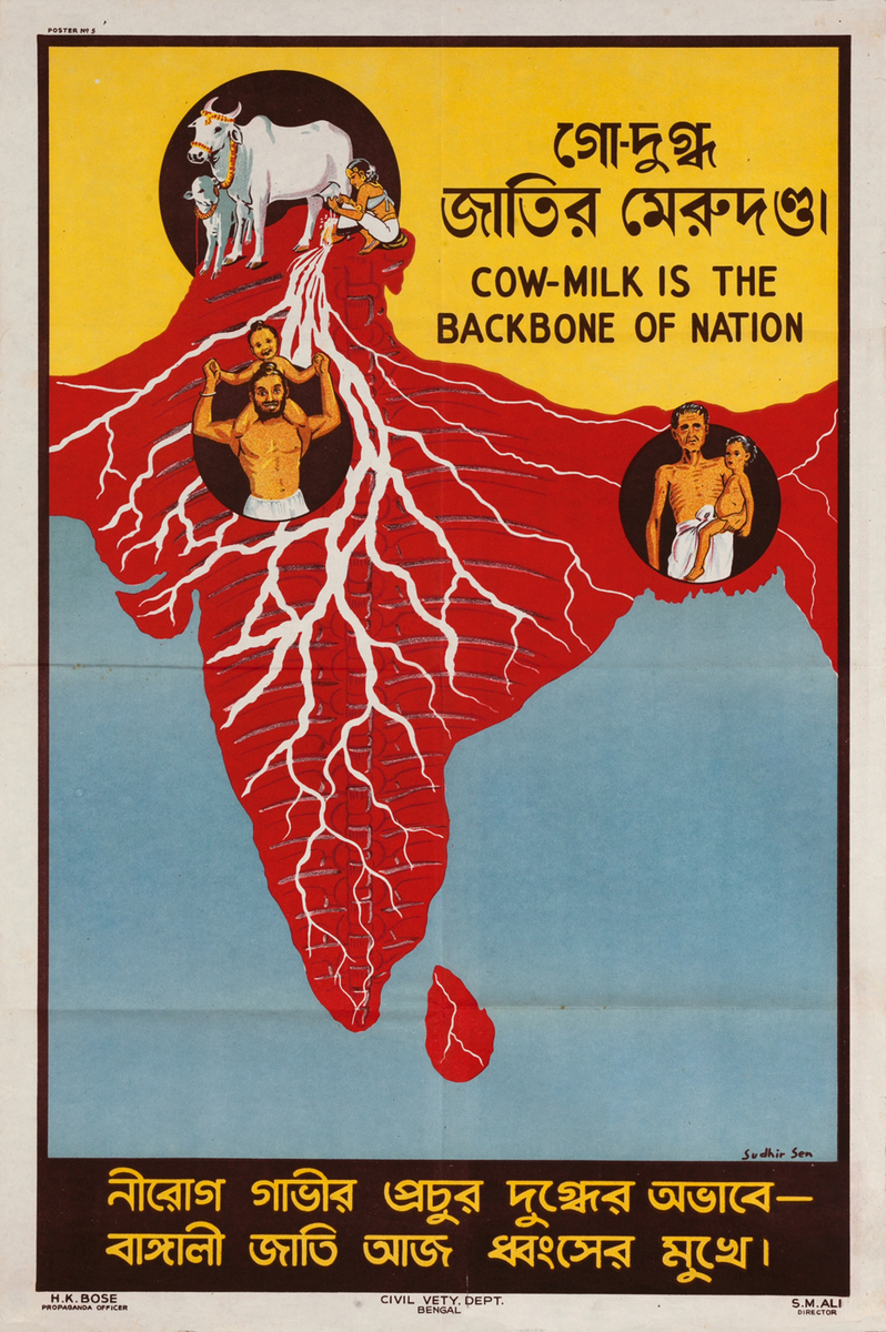 Cow-Milk is the Backbone of Nation, Indian WWII Conservation Poster