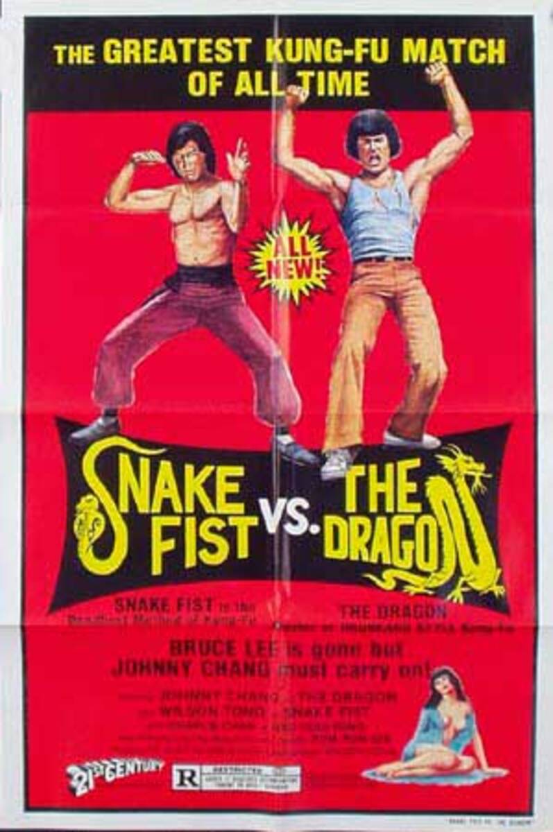 Snake Fist vs the Dragon Original Vintage Kung Fu Movie Poster