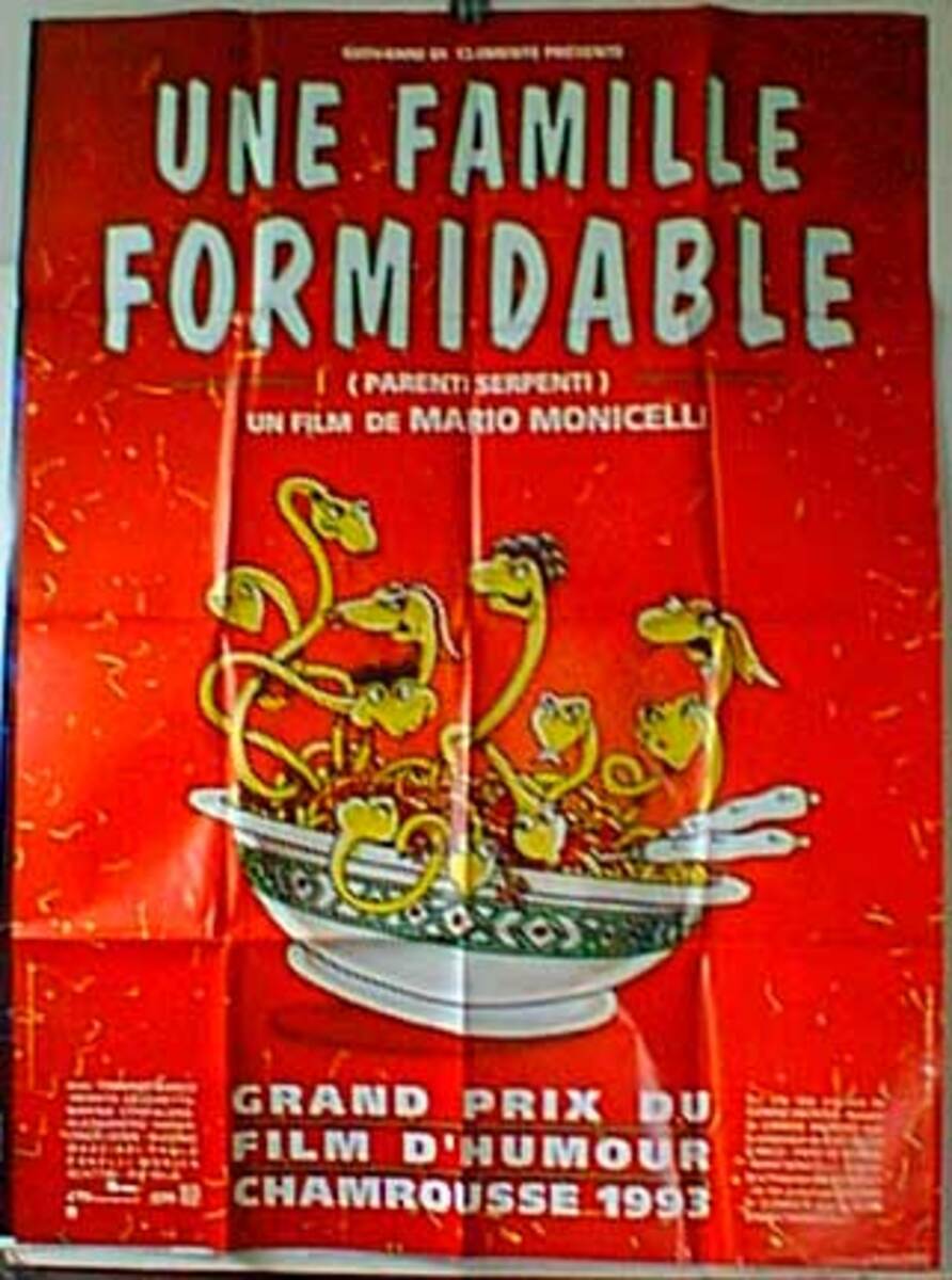 Famille Formidable Original French Movie Poster