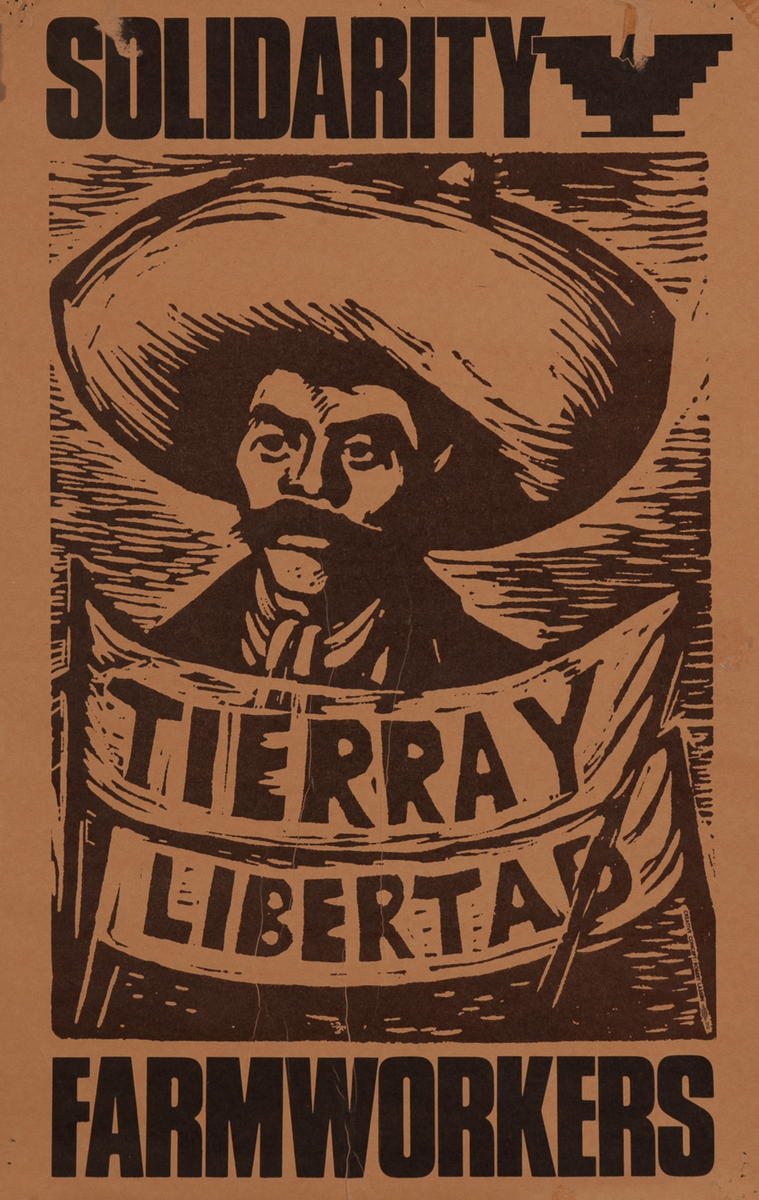 Solidarity Farmworkers, Tierra y Libertad