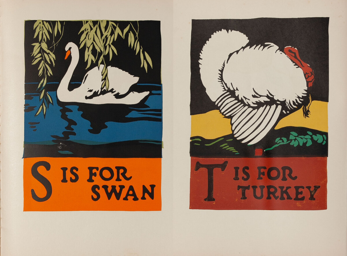 S is for Swan - T is for Turkey