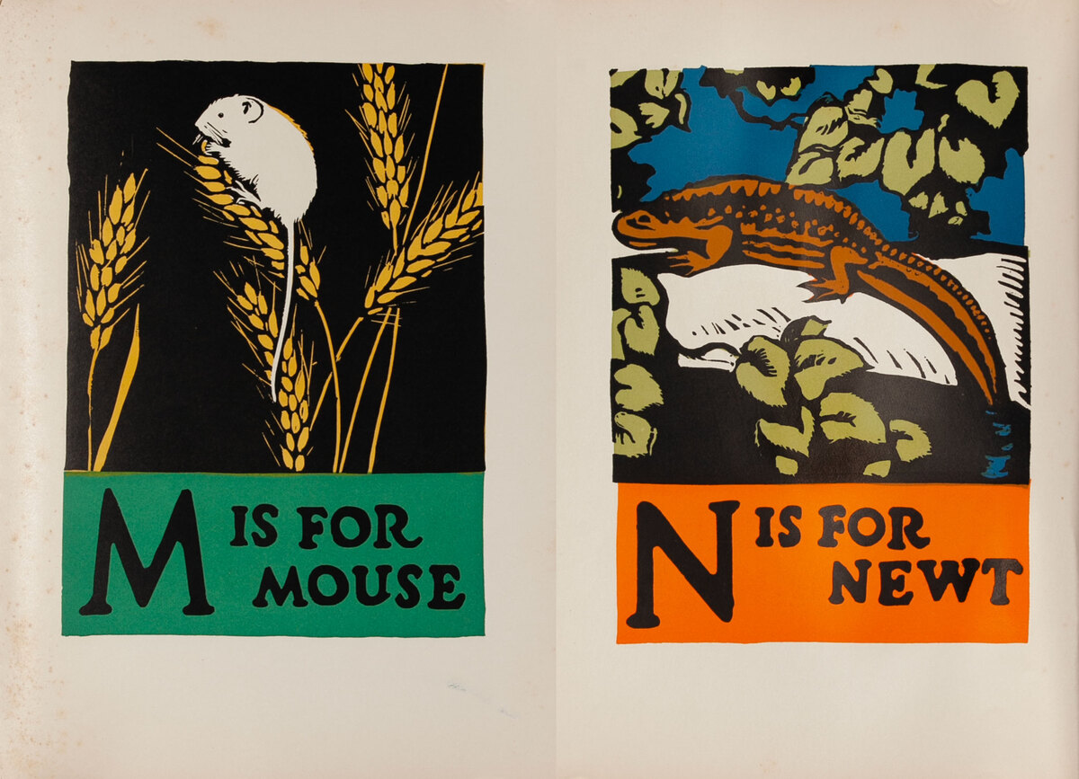 M is for Mouse - N is for Newt