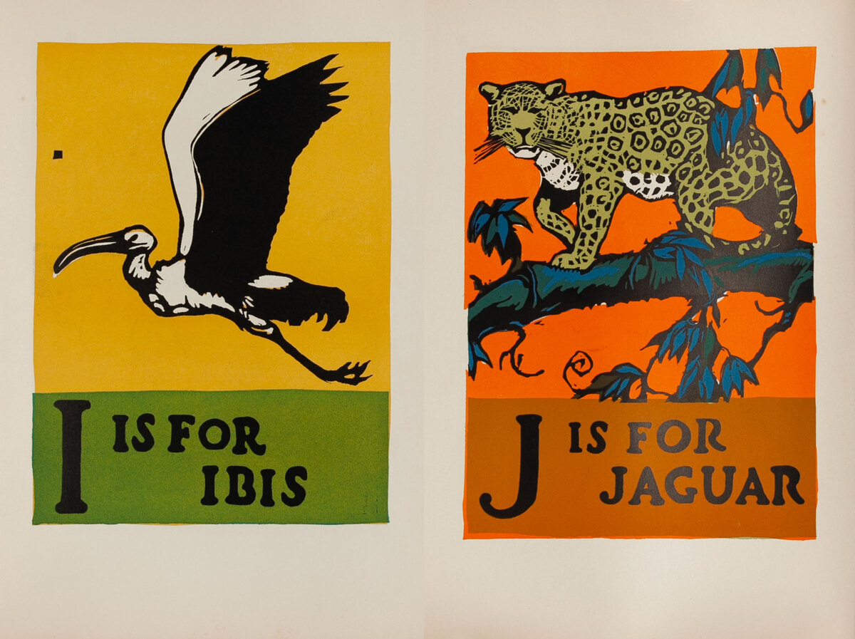 I is for Ibis - J is for Jaguar