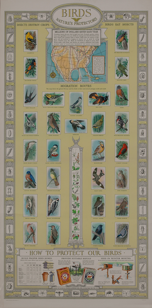 Birds - Nature's Protectors, Arm and Hammer Advertising Poster