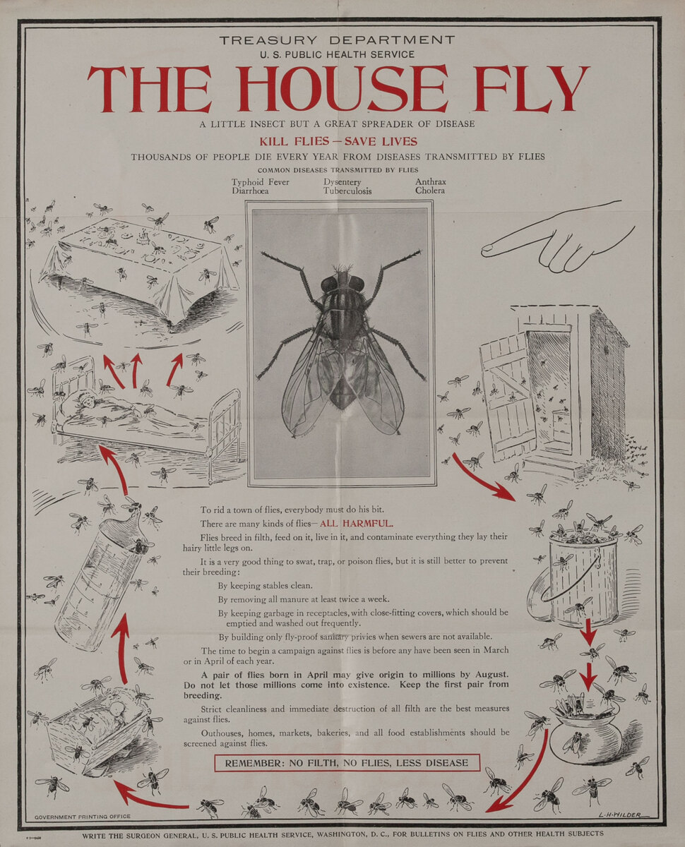 The House Fly, Kill Flies - Save Lives