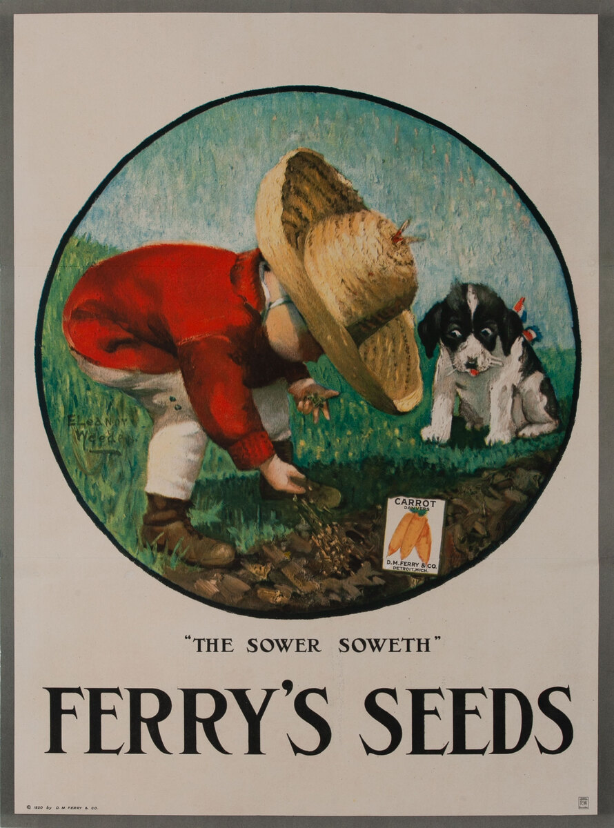 Ferry's Seeds The Sower Soweth 
